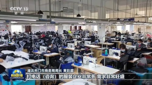 活力中國 跨境電商主體突破10萬，中小企業借力數字東風出海拓新機
