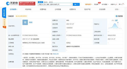 計算機系統服務 數字化時代的企業基石